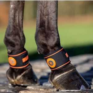 LeMieux pastern magno wrap